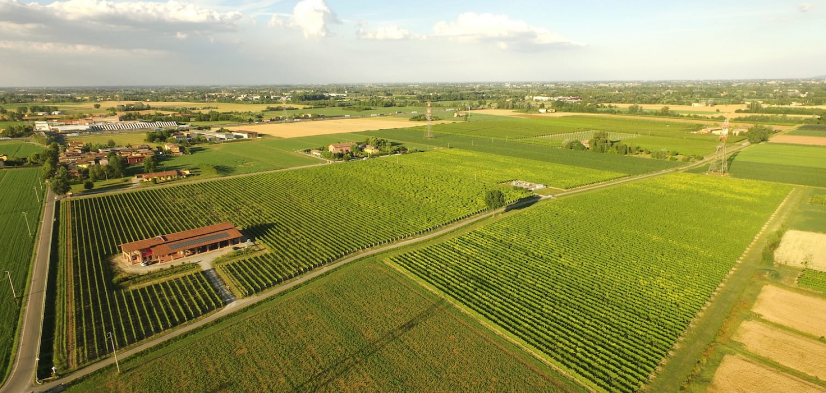 I vigneti di casa balsarena I vigneti di casa balsarena